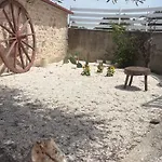 Trulli Mamima *