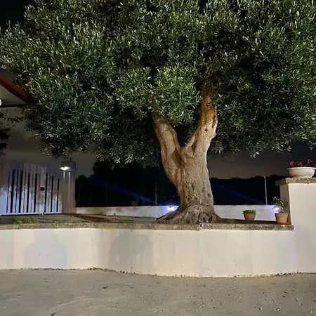 Trulli Mamima *